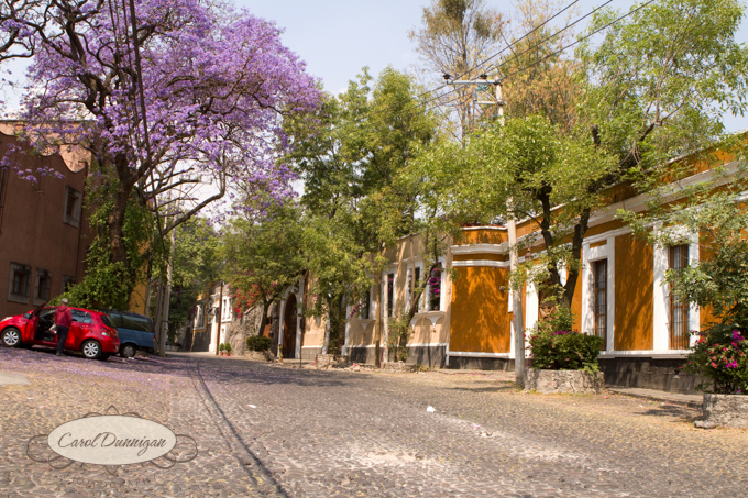 Mexico2090