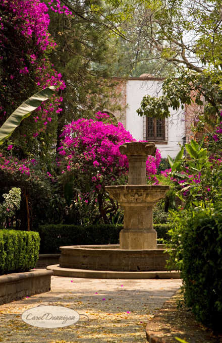 Mexico2128