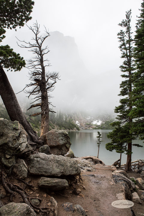 rocky mountain national park, images, photography, mountains, carol dunnigan photography-106