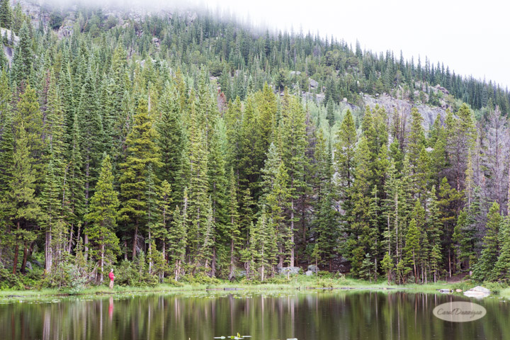 rocky mountain national park, images, photography, mountains, carol dunnigan photography-49