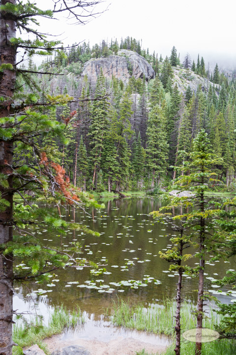 rocky mountain national park, images, photography, mountains, carol dunnigan photography-50