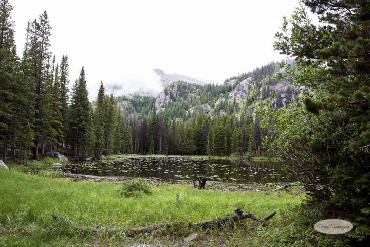 rocky mountain national park, images, photography, mountains, carol dunnigan photography-54