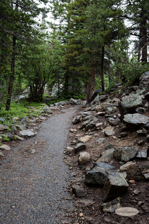 rocky mountain national park, images, photography, mountains, carol dunnigan photography-61