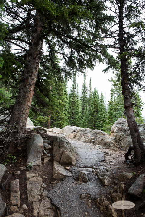 rocky mountain national park, images, photography, mountains, carol dunnigan photography-62