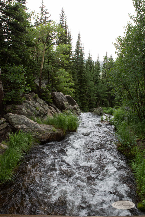 rocky mountain national park, images, photography, mountains, carol dunnigan photography-77
