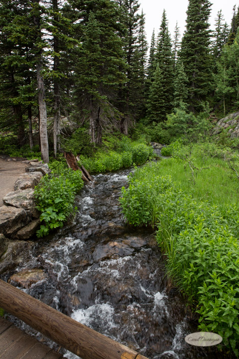 rocky mountain national park, images, photography, mountains, carol dunnigan photography-78
