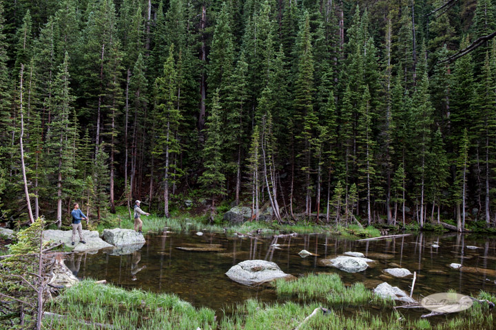 rocky mountain national park, images, photography, mountains, carol dunnigan photography-89
