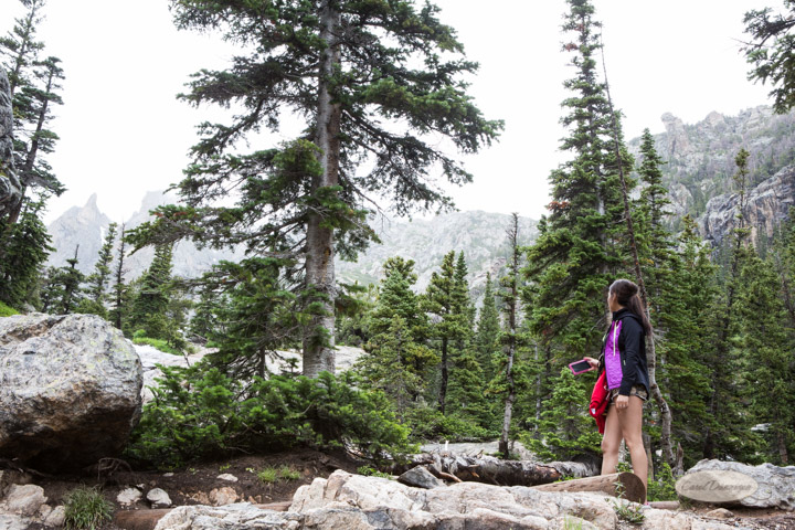 rocky mountain national park, images, photography, mountains, carol dunnigan photography-93