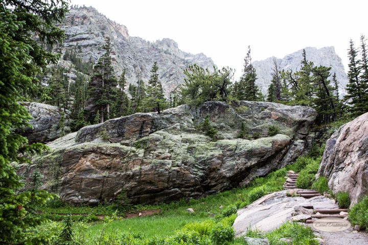 rocky mountain national park, images, photography, mountains, carol dunnigan photography-95