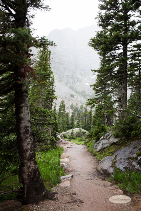 rocky mountain national park, images, photography, mountains, carol dunnigan photography-98