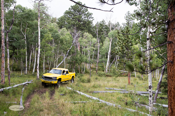 2015 My Birthday Red Feather Lakes and Hewlett Gulch-43