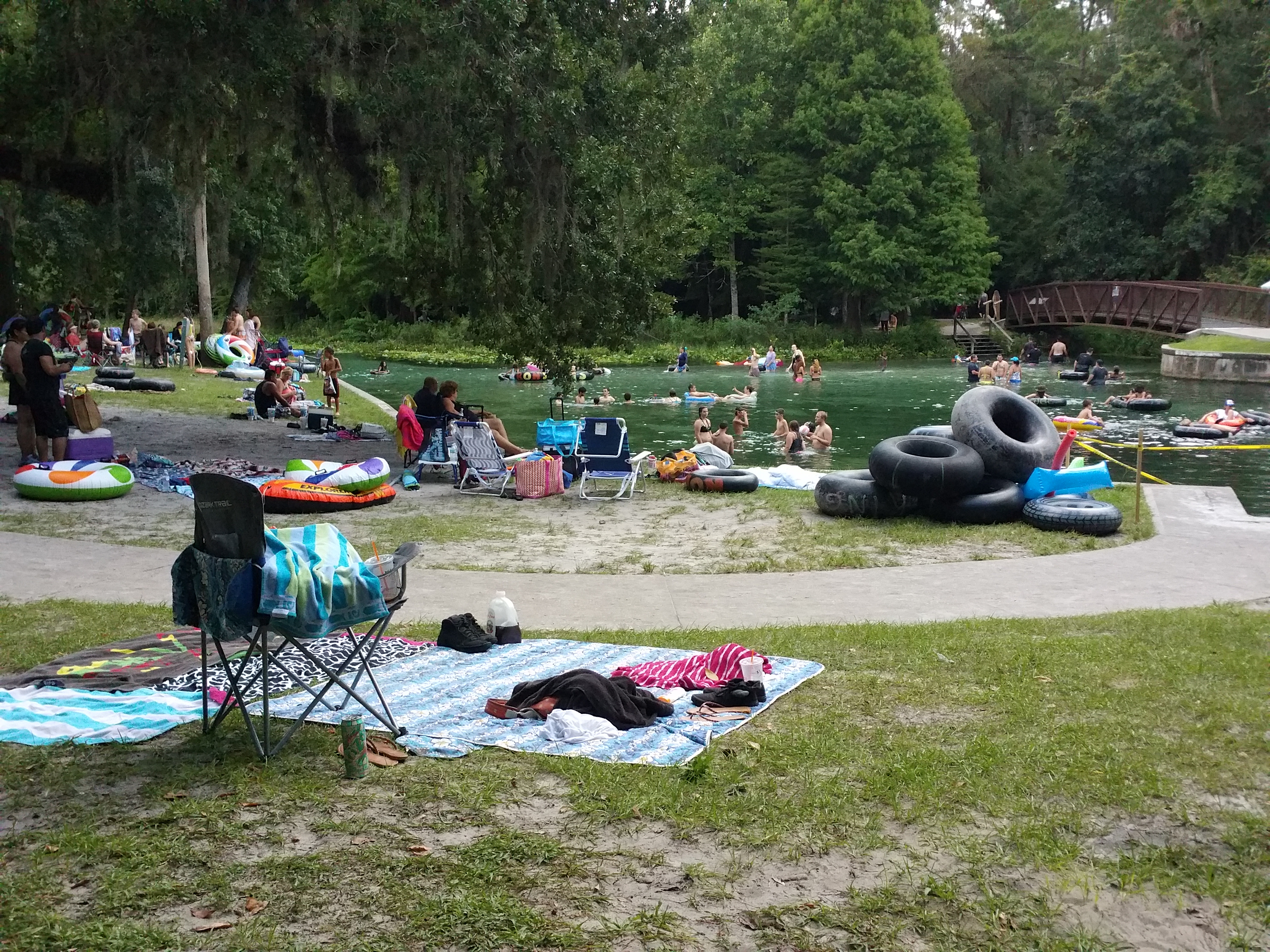 rock springs, Apopka, florida, springs, swimming, nature, picnic, Kelly park