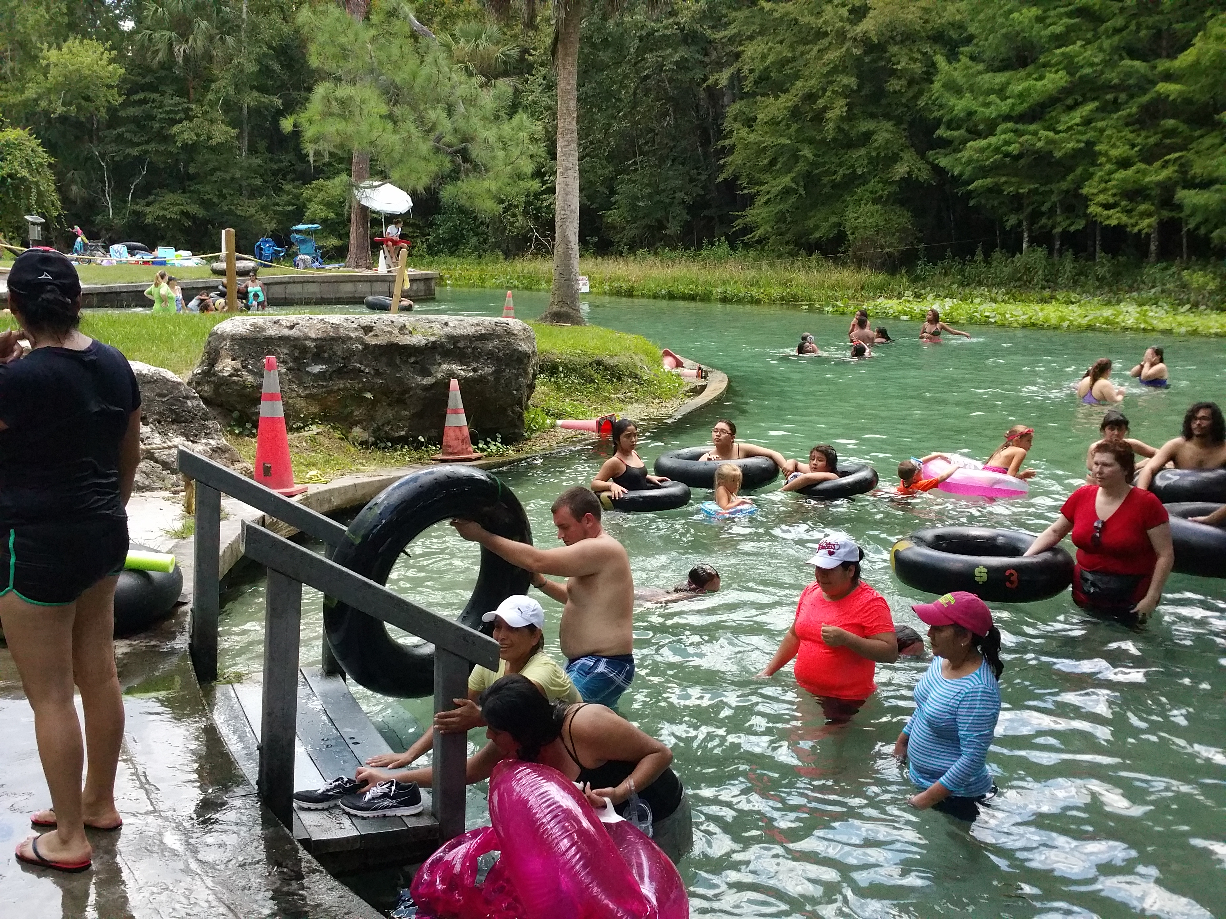 rock springs, Apopka, florida, springs, swimming, nature, picnic, Kelly park