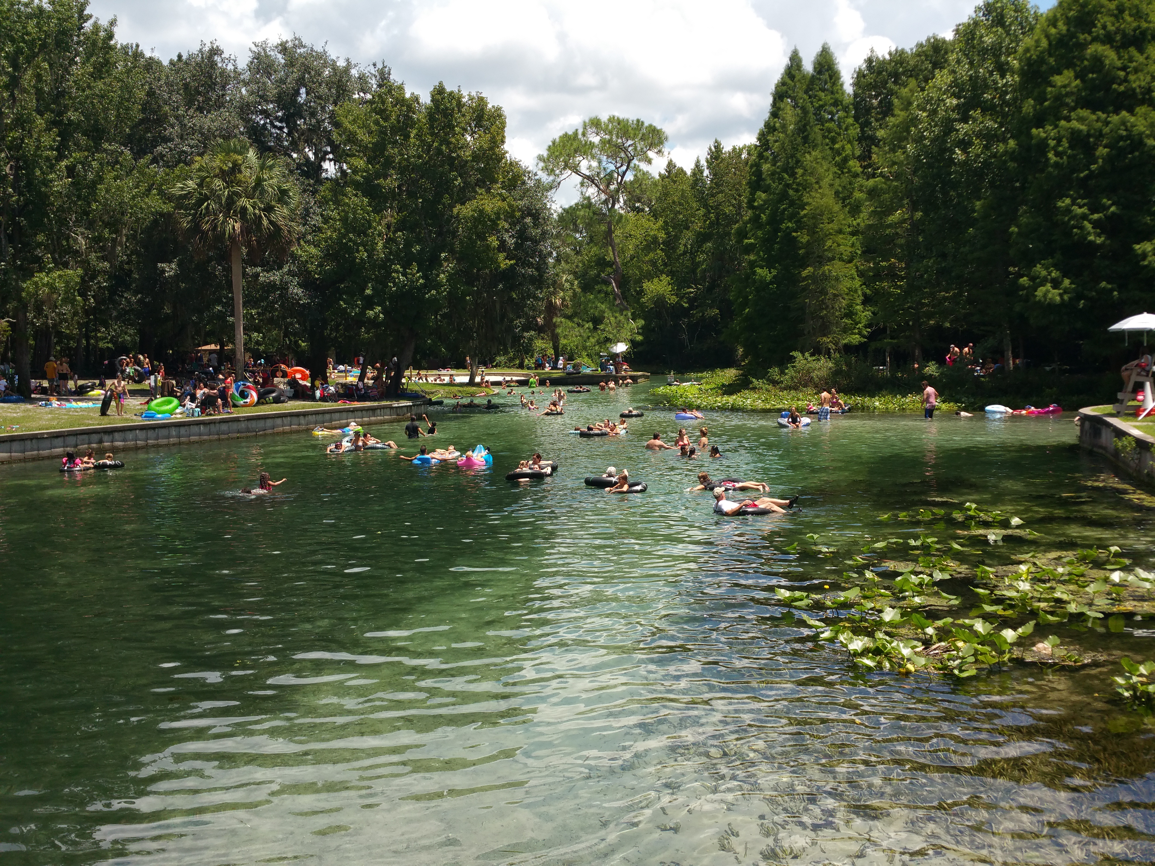 rock springs, Apopka, florida, springs, swimming, nature, picnic, Kelly park