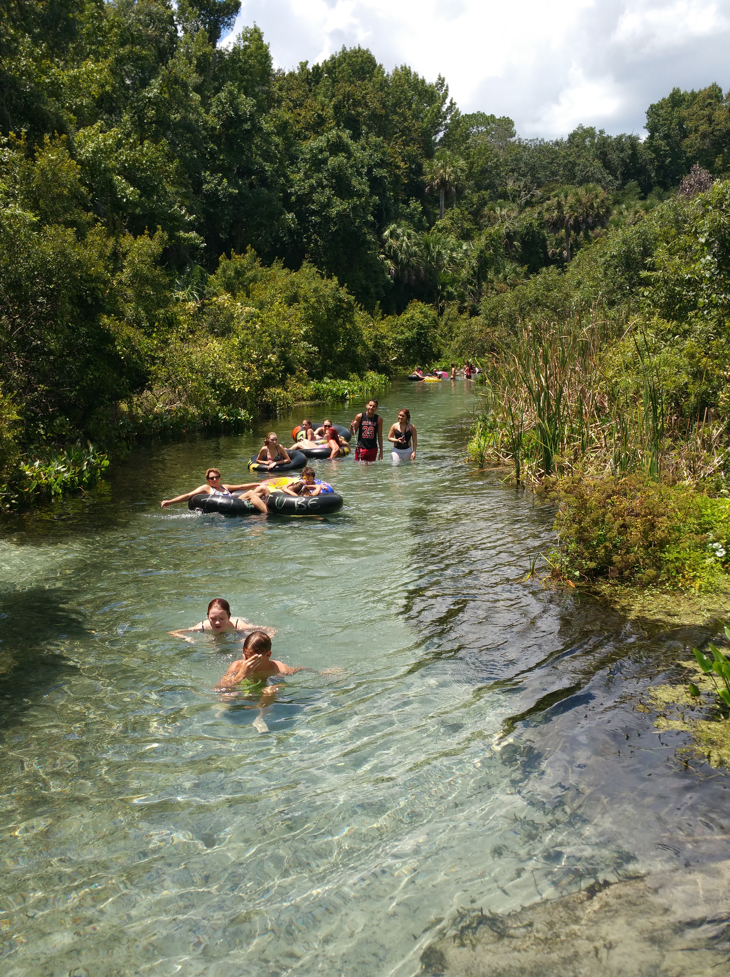 rock springs, Apopka, florida, springs, swimming, nature, picnic, Kelly park