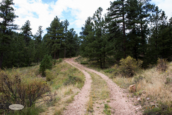 roosevelt national forest, offroading, offroad, red feather lakes, images, photography, nature, colorado, streams, forest, foothills, mountains-13