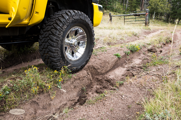 roosevelt national forest, offroading, offroad, red feather lakes, images, photography, nature, colorado, streams, forest, foothills, mountains-17