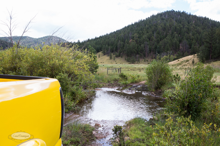 roosevelt national forest, offroading, offroad, red feather lakes, images, photography, nature, colorado, streams, forest, foothills, mountains-20