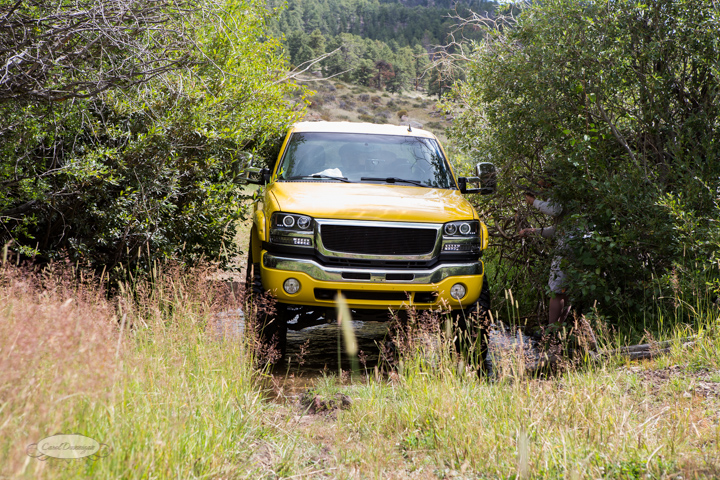 roosevelt national forest, offroading, offroad, red feather lakes, images, photography, nature, colorado, streams, forest, foothills, mountains-29