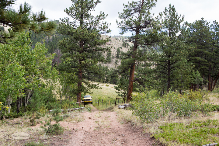 roosevelt national forest, offroading, offroad, red feather lakes, images, photography, nature, colorado, streams, forest, foothills, mountains-35