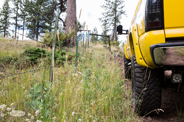 roosevelt national forest, offroading, offroad, red feather lakes, images, photography, nature, colorado, streams, forest, foothills, mountains-37