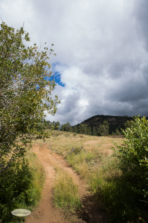 roosevelt national forest, offroading, offroad, red feather lakes, images, photography, nature, colorado, streams, forest, foothills, mountains-4