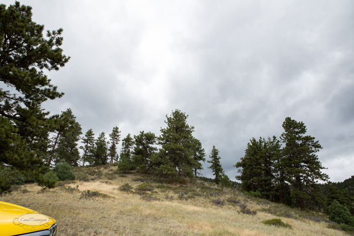 roosevelt national forest, offroading, offroad, red feather lakes, images, photography, nature, colorado, streams, forest, foothills, mountains-8