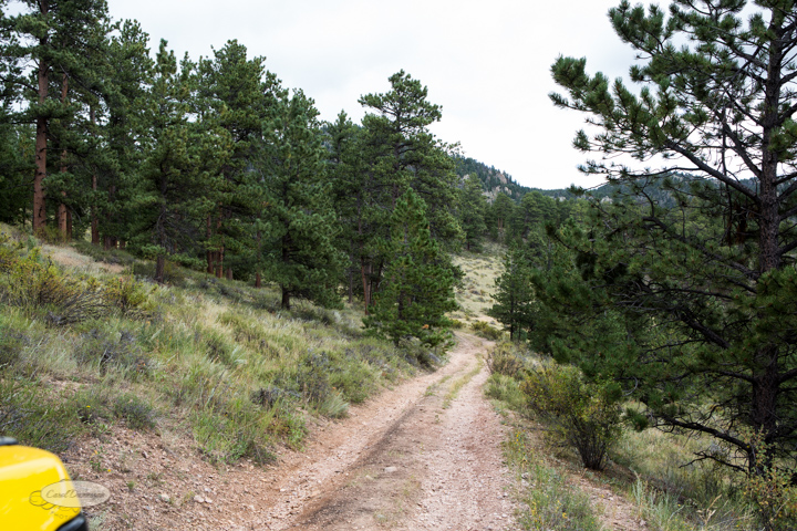 roosevelt national forest, offroading, offroad, red feather lakes, images, photography, nature, colorado, streams, forest, foothills, mountains-9