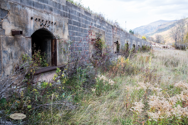 carol dunnigan photography, colorado, fall, autumn, images, photography, mountains, travel, white river national forest, coke ovens, redstone coke ovens, redstone-7595