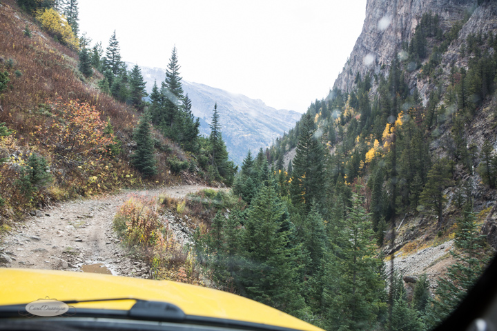 carol dunnigan photography, colorado, fall, autumn, images, photography, mountains, travel, white river national forest, lead king basin loop, offroading, off-road, offroading, lizard lake, crystal city-7503