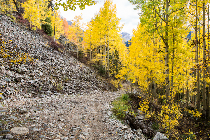 carol dunnigan photography, colorado, fall, autumn, images, photography, mountains, travel, white river national forest, lead king basin loop, offroading, off-road, offroading, lizard lake, crystal city-7525