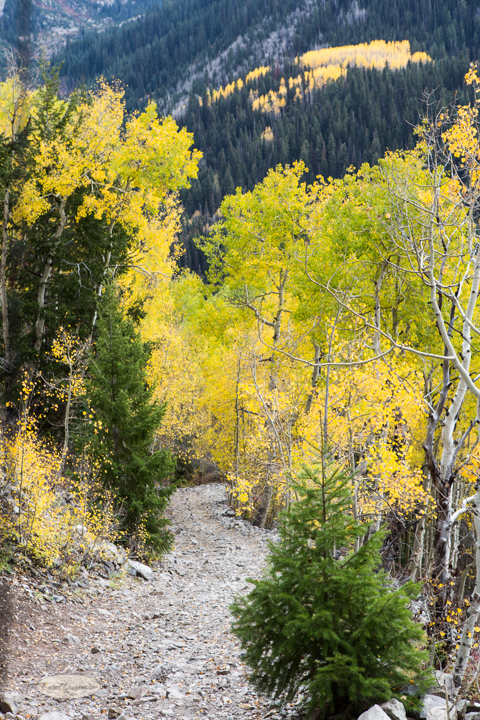 carol dunnigan photography, colorado, fall, autumn, images, photography, mountains, travel, white river national forest, lead king basin loop, offroading, off-road, offroading, lizard lake, crystal city-7526