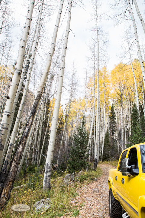 carol dunnigan photography, colorado, fall, autumn, images, photography, mountains, travel, white river national forest, lead king basin loop, offroading, off-road, offroading, lizard lake, crystal city-7530
