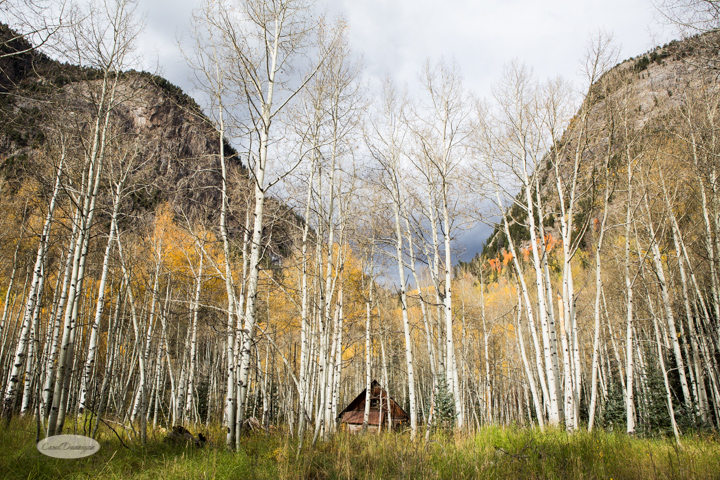 carol dunnigan photography, colorado, fall, autumn, images, photography, mountains, travel, white river national forest, lead king basin loop, offroading, off-road, offroading, lizard lake, crystal city-7532