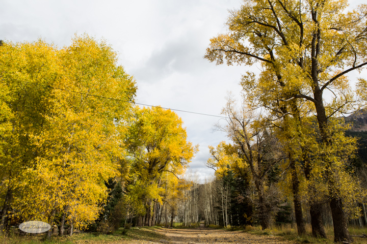 carol dunnigan photography, colorado, fall, autumn, images, photography, mountains, travel, white river national forest, lead king basin loop, offroading, off-road, offroading, lizard lake, crystal city-7533