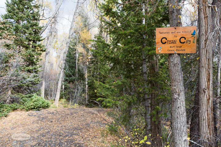 carol dunnigan photography, colorado, fall, autumn, images, photography, mountains, travel, white river national forest, lead king basin loop, offroading, off-road, offroading, lizard lake, crystal city-7551