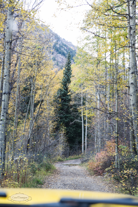 carol dunnigan photography, colorado, fall, autumn, images, photography, mountains, travel, white river national forest, lead king basin loop, offroading, off-road, offroading, lizard lake, crystal city-7565