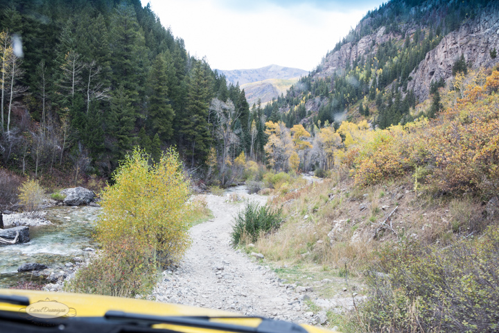 carol dunnigan photography, colorado, fall, autumn, images, photography, mountains, travel, white river national forest, lead king basin loop, offroading, off-road, offroading, lizard lake, crystal city-7567