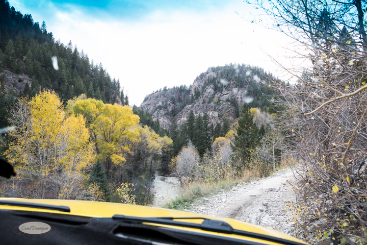 carol dunnigan photography, colorado, fall, autumn, images, photography, mountains, travel, white river national forest, lead king basin loop, offroading, off-road, offroading, lizard lake, crystal city-7568