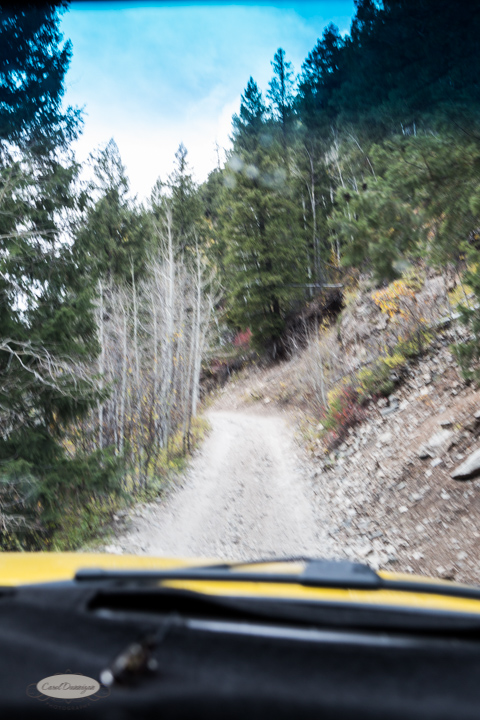 carol dunnigan photography, colorado, fall, autumn, images, photography, mountains, travel, white river national forest, lead king basin loop, offroading, off-road, offroading, lizard lake, crystal city-7569