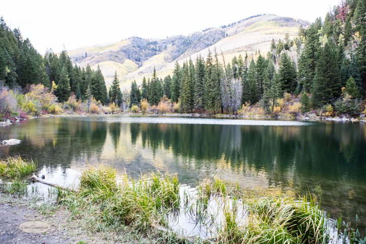 carol dunnigan photography, colorado, fall, autumn, images, photography, mountains, travel, white river national forest, lead king basin loop, offroading, off-road, offroading, lizard lake, crystal city-7570