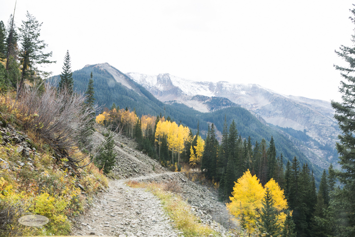 carol dunnigan photography, colorado, fall, autumn, images, photography, mountains, travel, white river national forest, lead king basin loop, offroading, off-road, offroading, lizard lake, crystal city-7511