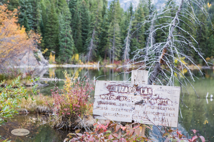 carol dunnigan photography, colorado, fall, autumn, images, photography, mountains, travel, white river national forest, lead king basin loop, offroading, off-road, offroading, lizard lake, crystal city-7576
