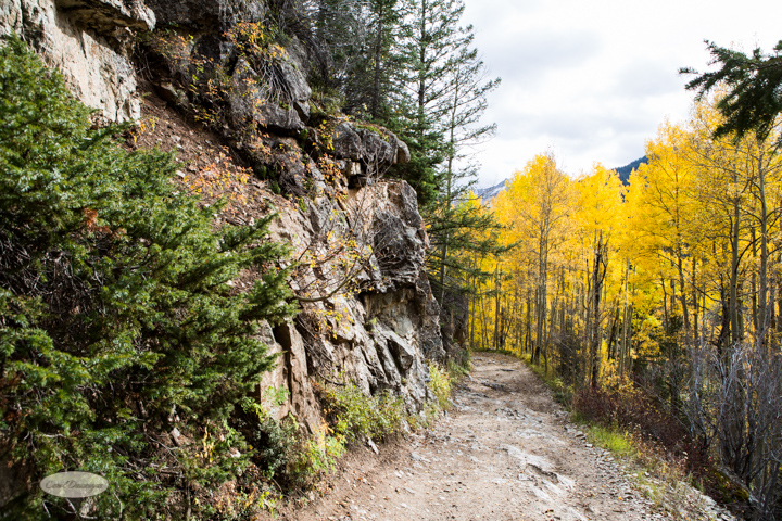 carol dunnigan photography, colorado, fall, autumn, images, photography, mountains, travel, white river national forest, lead king basin loop, offroading, off-road, offroading, lizard lake, crystal city-7517