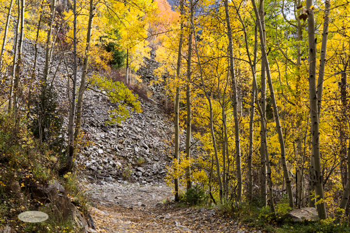 carol dunnigan photography, colorado, fall, autumn, images, photography, mountains, travel, white river national forest, lead king basin loop, offroading, off-road, offroading, lizard lake, crystal city-7522