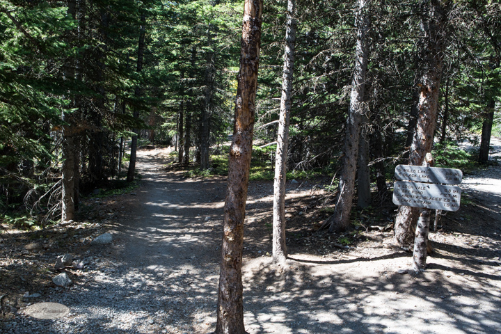 estes park, colorado, rocky mountain national park, carol dunnigan photography, images, photography, hiking, trails, glacier gorge trailhead, mills lake, alberta falls-22
