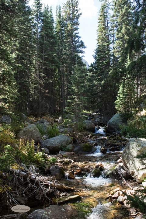 estes park, colorado, rocky mountain national park, carol dunnigan photography, images, photography, hiking, trails, glacier gorge trailhead, mills lake, alberta falls-23