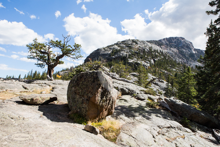 estes park, colorado, rocky mountain national park, carol dunnigan photography, images, photography, hiking, trails, glacier gorge trailhead, mills lake, alberta falls-25
