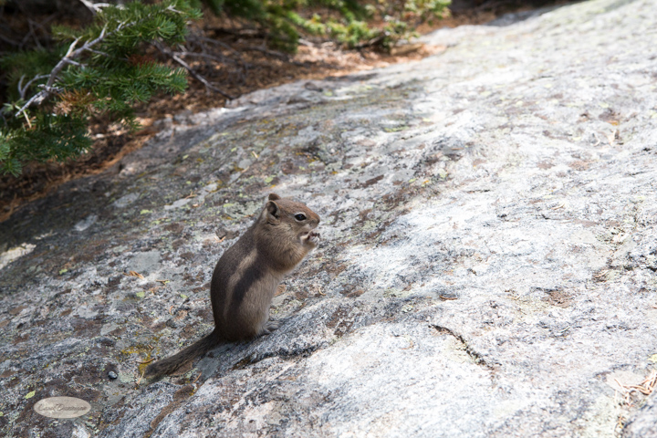 estes park, colorado, rocky mountain national park, carol dunnigan photography, images, photography, hiking, trails, glacier gorge trailhead, mills lake, alberta falls-33
