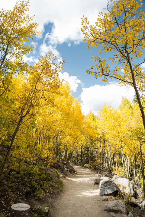 estes park, colorado, rocky mountain national park, carol dunnigan photography, images, photography, hiking, trails, glacier gorge trailhead, mills lake, alberta falls-37